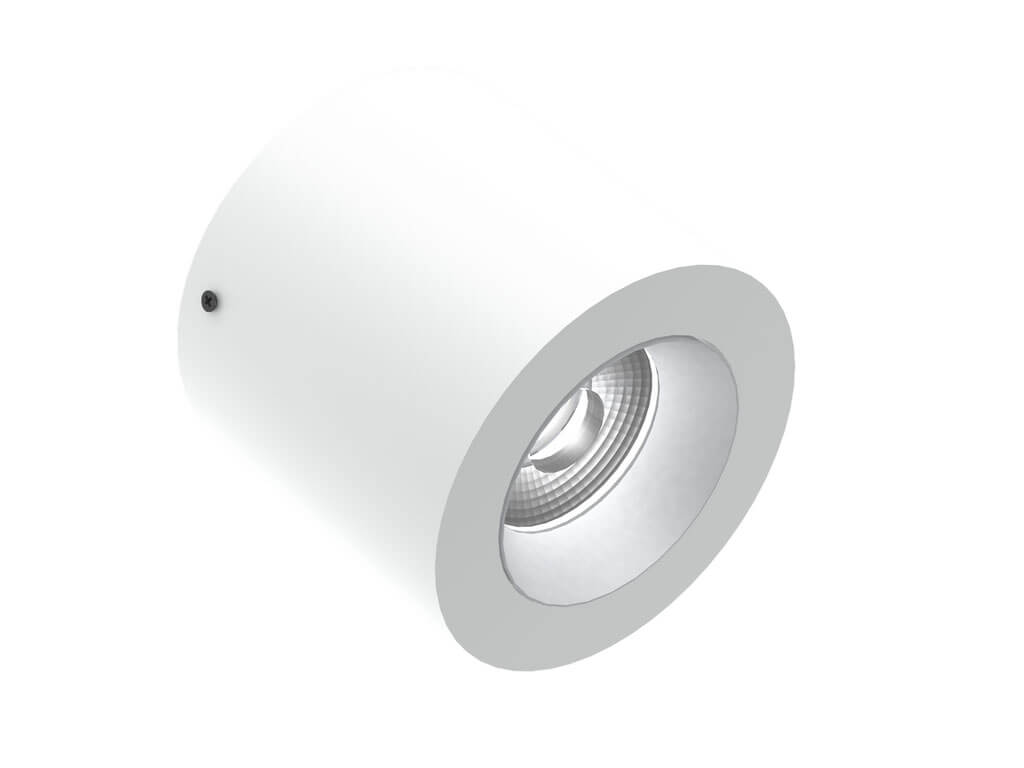 White / Silver
