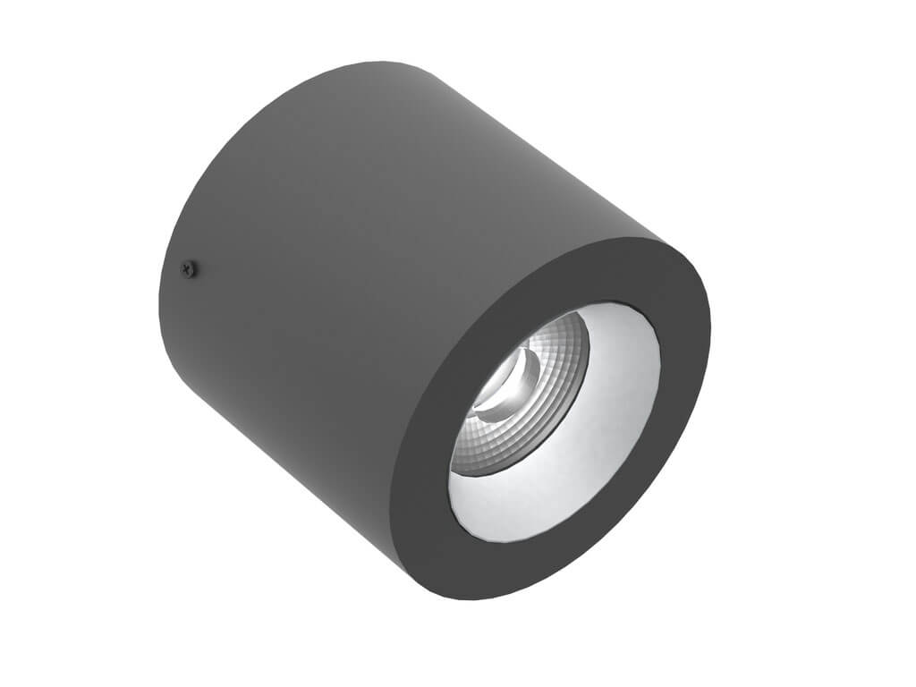 Black / Silver
